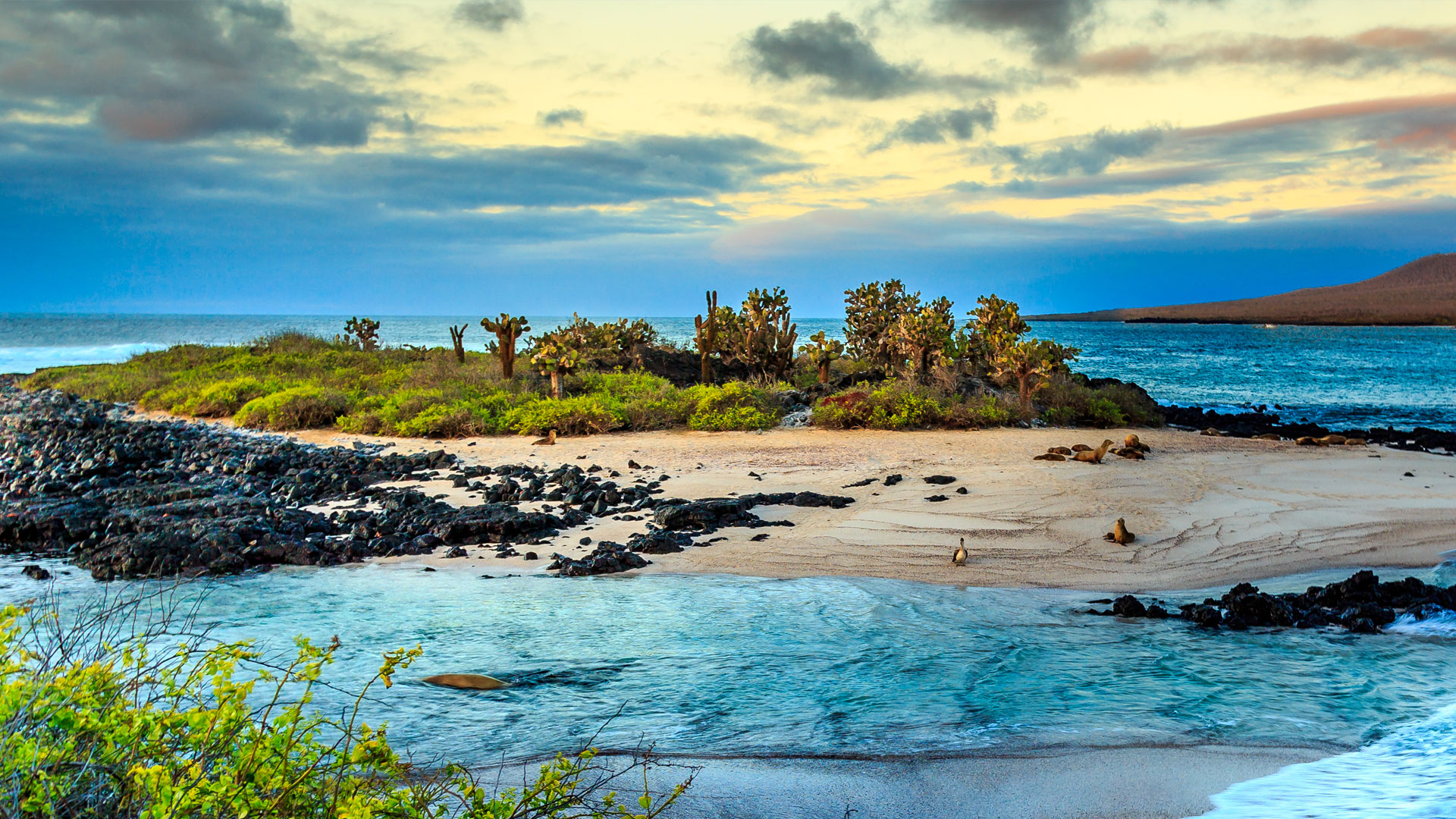 Exploring the Enchanted Isles: A Journey through the Galápagos