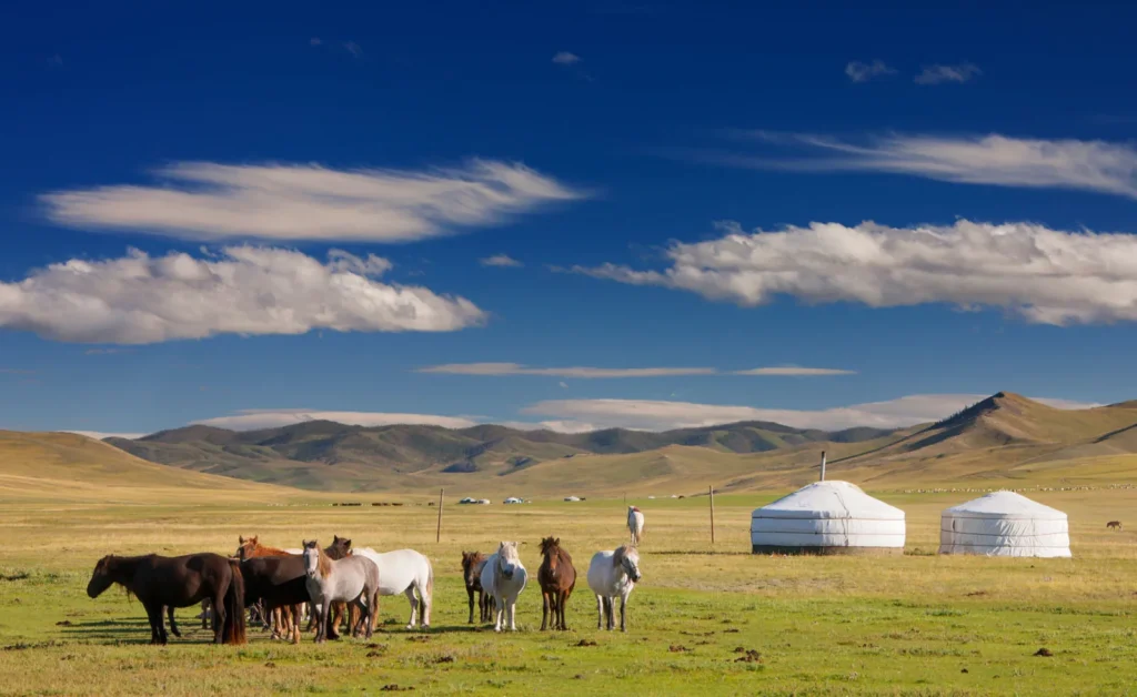 Mongolia: Riding the Steppes of Nomadic Majesty